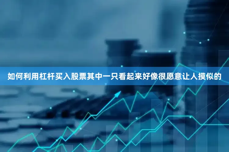 如何利用杠杆买入股票其中一只看起来好像很愿意让人摸似的