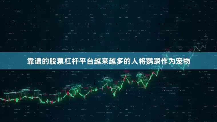 靠谱的股票杠杆平台越来越多的人将鹦鹉作为宠物