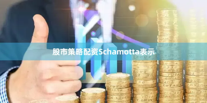 股市策略配资Schamotta表示