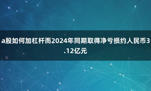 a股如何加杠杆而2024年同期取得净亏损约人民币3.12亿元